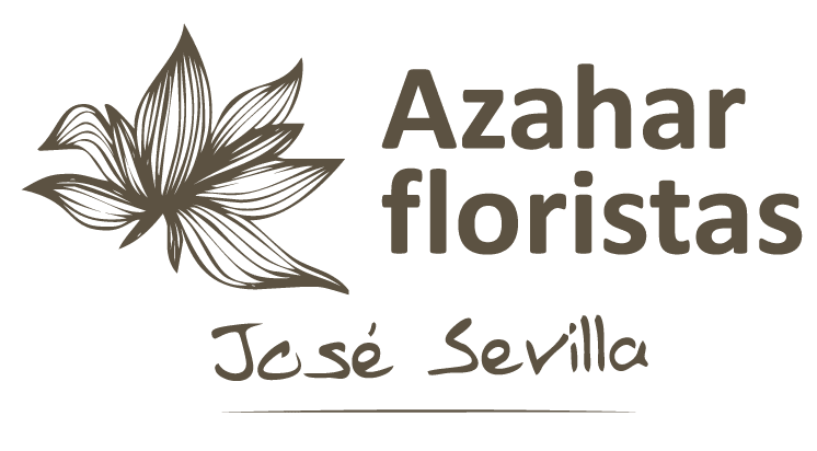 Azahar Floristas by José Sevilla
